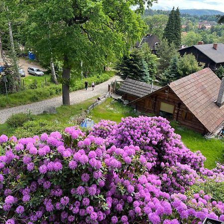 Apartament Wiktoria Szklarska Poręba Εξωτερικό φωτογραφία